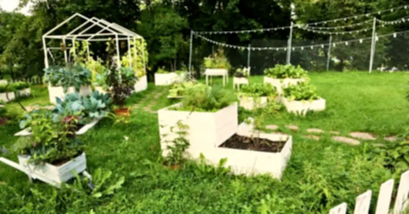 5 Garden Features to Remove That Make Your Home Look Cheap and Tacky