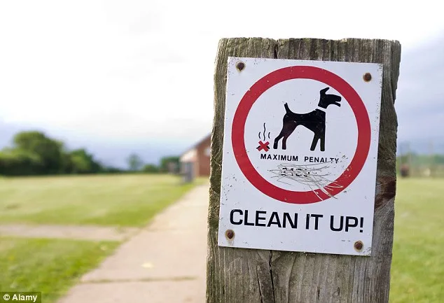 Council Offers £75 Reward for Reporting Dog Fouling and Street Drinking