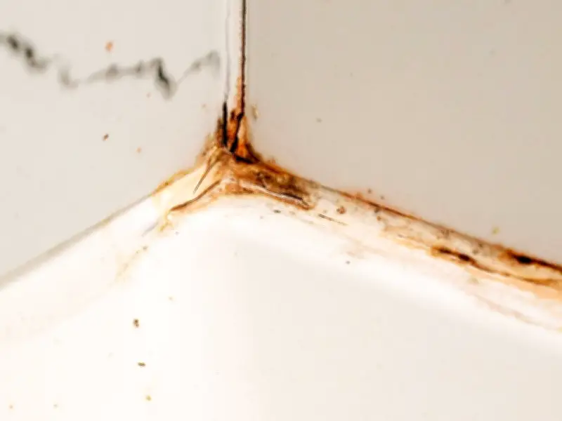 65p Baking Soda Trick to Remove Black Mould from Silicone Sealant