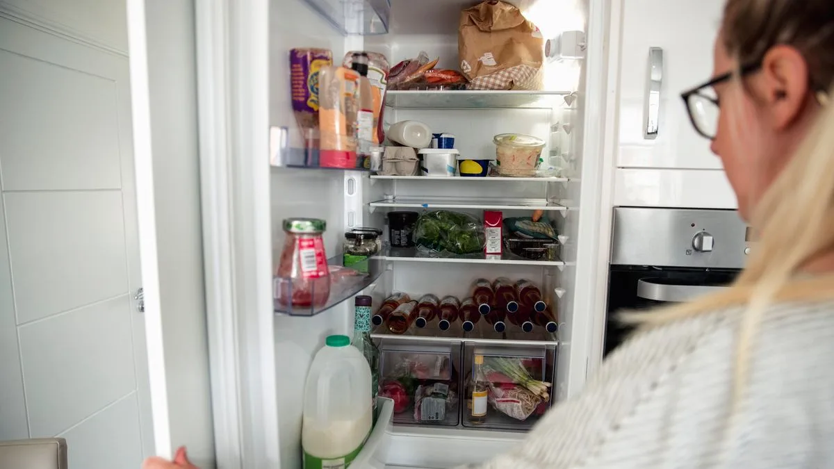 Simple Fridge Coil Clean Could Save UK Households £500 on Energy Bills