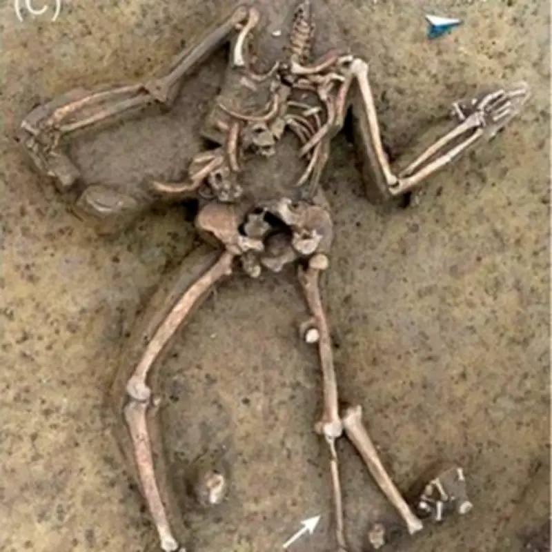 77 Headless Skeletons Found at 7,000-Year-Old Slovak Farm Baffle Archaeologists