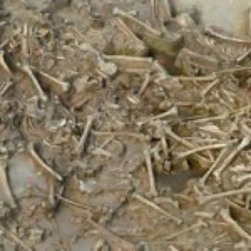 78 Headless Skeletons Found in 7,000-Year-Old 'Zombie' Burials in Slovakia