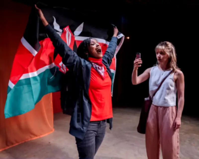 A Fine Idea review – international development drama laden with number-crunching