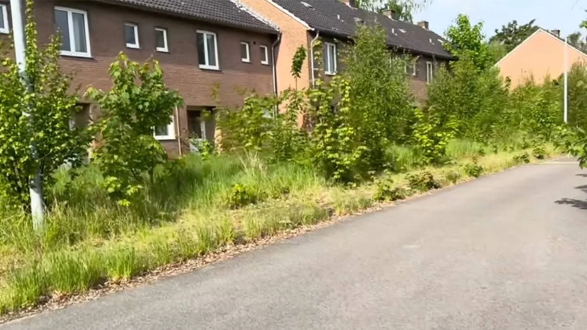 Abandoned British Military Town in Germany Reclaimed by Nature