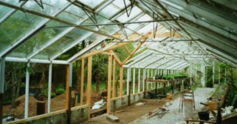 Abandoned garden centre becomes thriving café and social enterprise