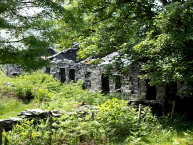 Abandoned Welsh Village Swallowed by Nature After 1927 Relocation