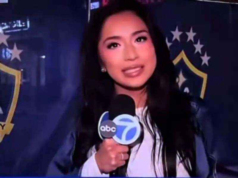 ABC reporter apologises for 'inappropriate' Bosnia comments before World Cup clash