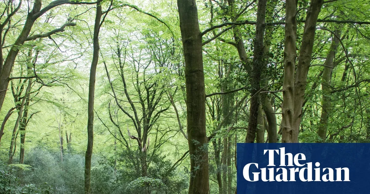 Academic Praises Paul Evans As Post Pastoral Shaman