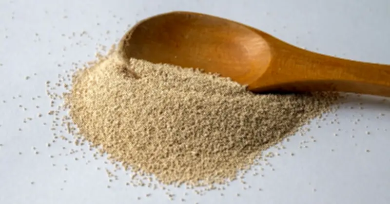 Active vs Instant Yeast: Key Differences Explained for Bakers