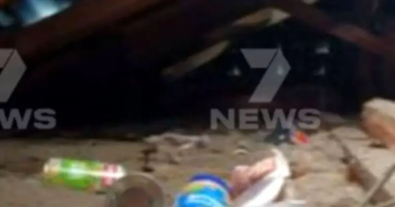 Adelaide grandmother finds squatter living in her attic after loud thud