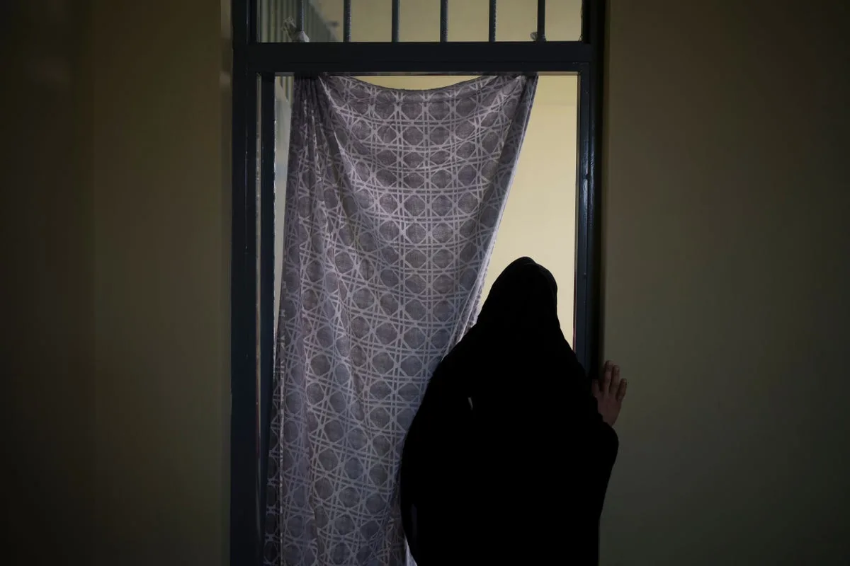 Afghanistan's New Penal Code: Harsher Penalties for Animal Abuse Than Domestic Violence