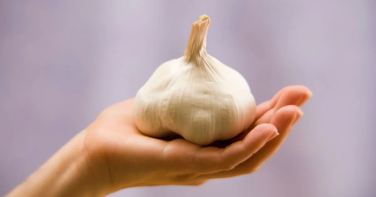 AI Chatbots Endanger Health with Dangerous Advice Like Rectal Garlic