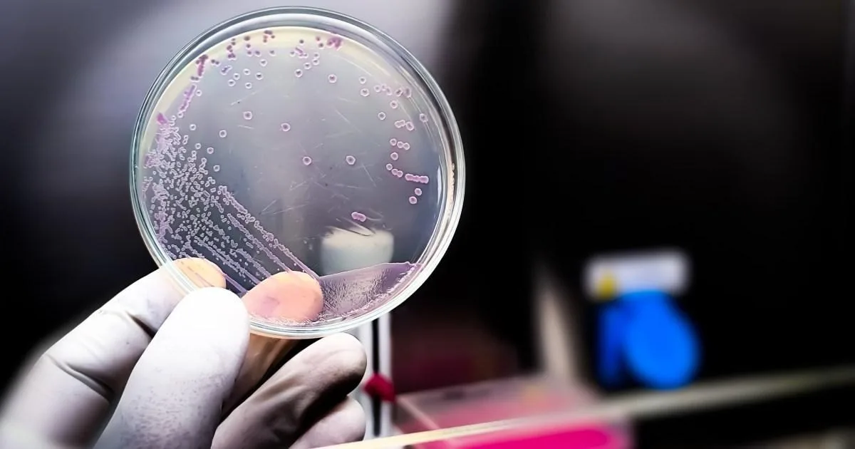 AI Creates Artificial Virus In Synthetic Biology Leap