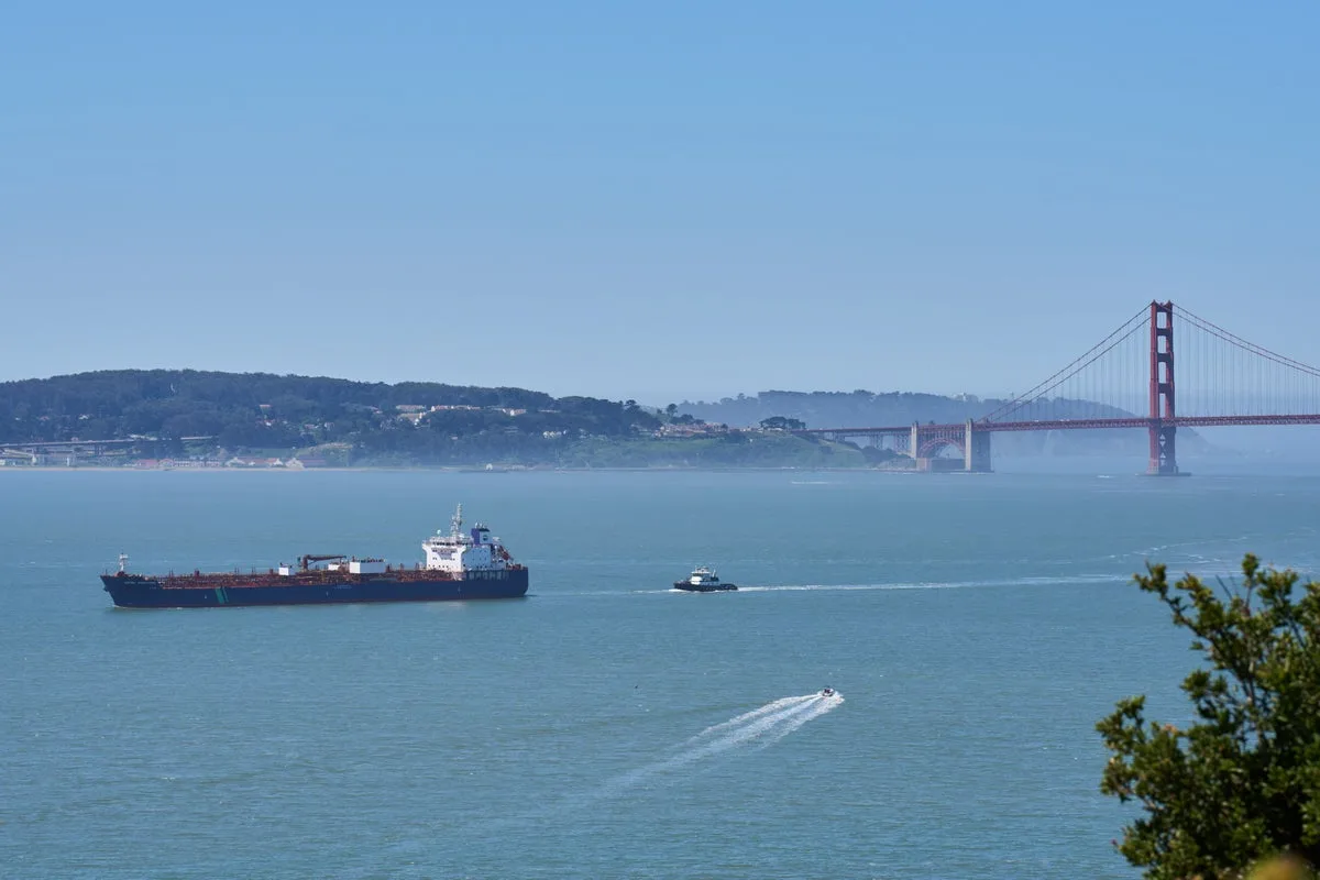 AI Whale Detection Network Launches in San Francisco Bay