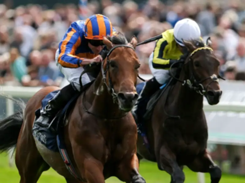 Aidan O'Brien's Royal Ascot hope The Lion In Winter fatally injured