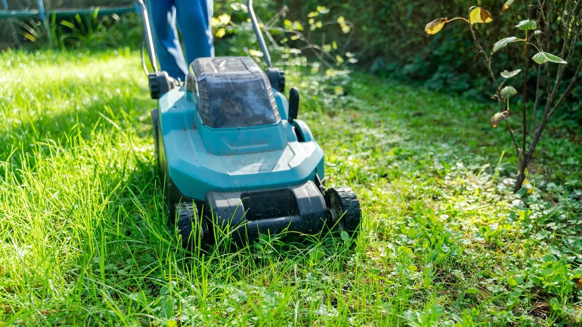Alan Titchmarsh Shares Lawn Mowing Frequency For Greener Grass