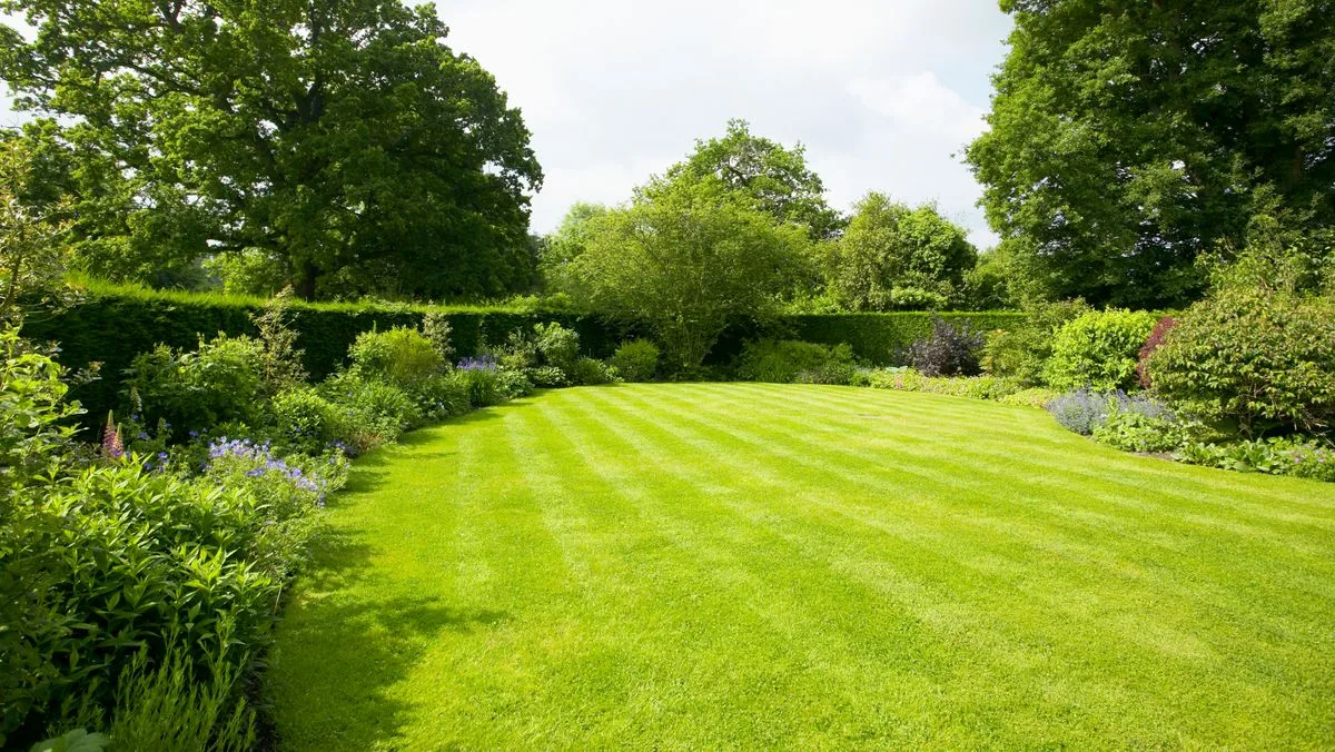 Alan Titchmarsh's Simple Moss Removal Method For Lawns