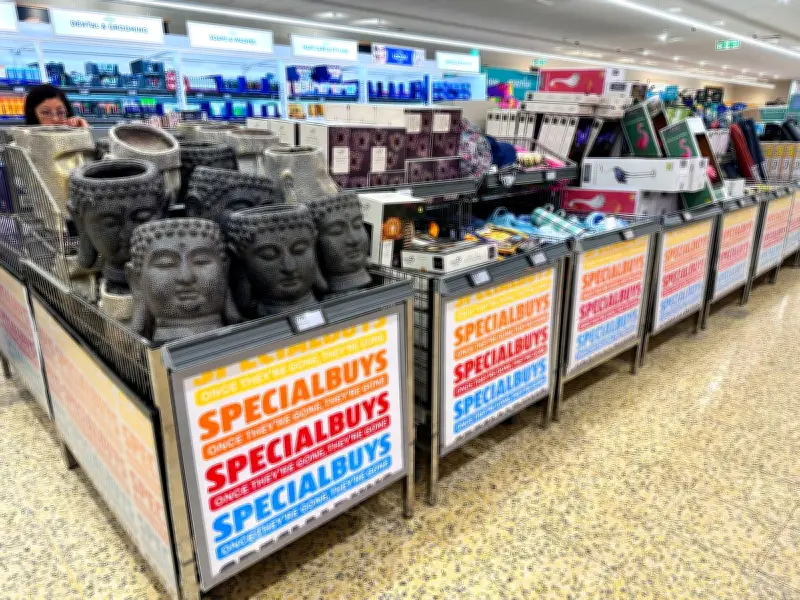 Aldi Launches £15 Portable Air Cooler as Scotland Hits 31.2°C
