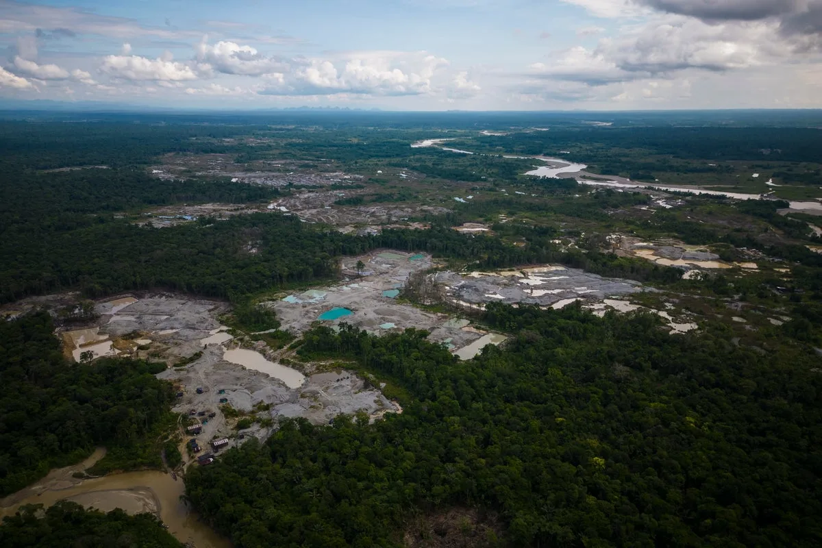 Amazon Deforestation Surges in Colombia, Reversing Historic Gains