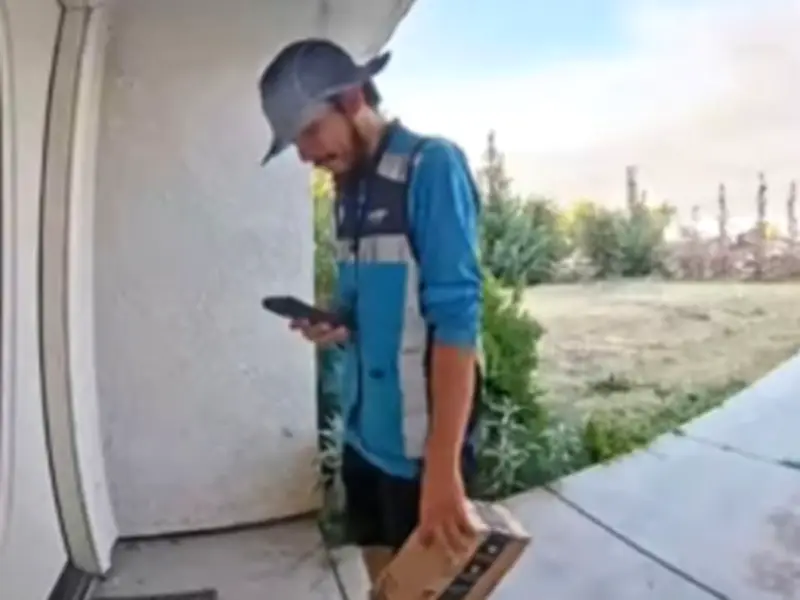 Amazon Driver Claims Accused of Stealing Cat Is Actually His Own Pet