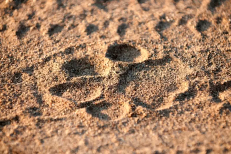 Ancient Cave Lion DNA Reveals Unique Evolutionary Lineage