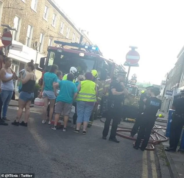 Dozens of Animals Die in Kent Pet Shop Fire