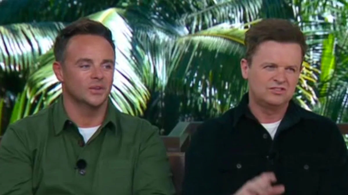 Ant McPartlin Calls I'm A Celeb Campmates 'Idiots'