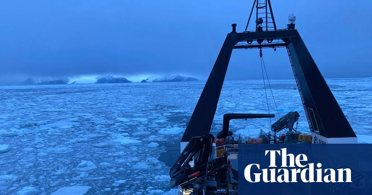 Antarctic urchins reveal climate impact on marine life