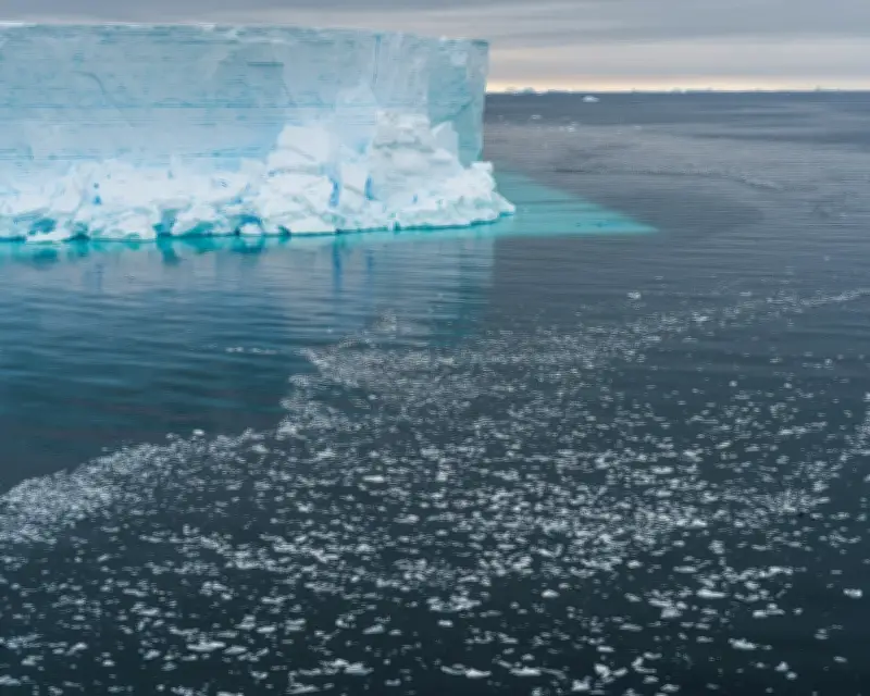 Antarctica Missing Sea Ice Size of France in Bellingshausen Sea