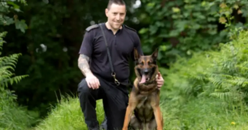 Appeal to Raise £6,000 for Hero Police Dog Wolf to Retire in Australia