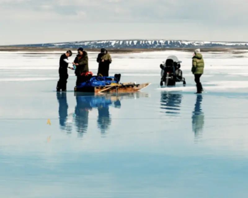 Arctic Sea Ice Thickening Experiment Shows Early Signs of Success