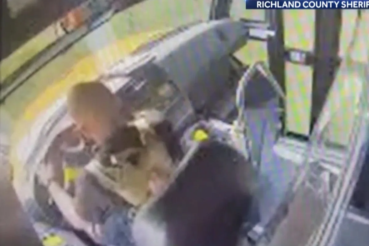 Children End School Bus Hijacking by Asking Too Many Questions, Police Say