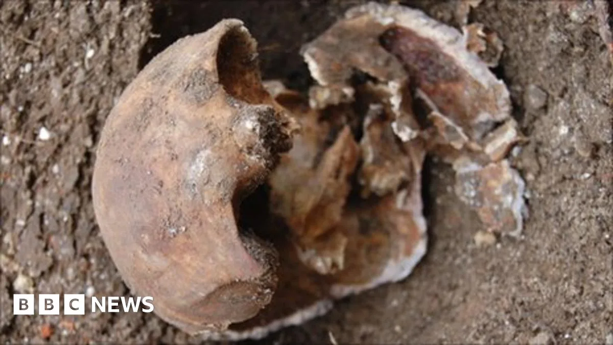 Skull Found in Attenborough's Garden Solves 131-Year-Old Murder Case