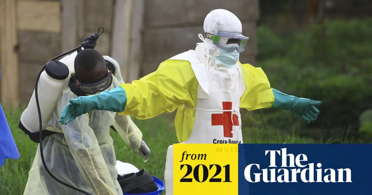 Ebola Relapse Led to 91 New Cases Before Patient's Death, Study Finds