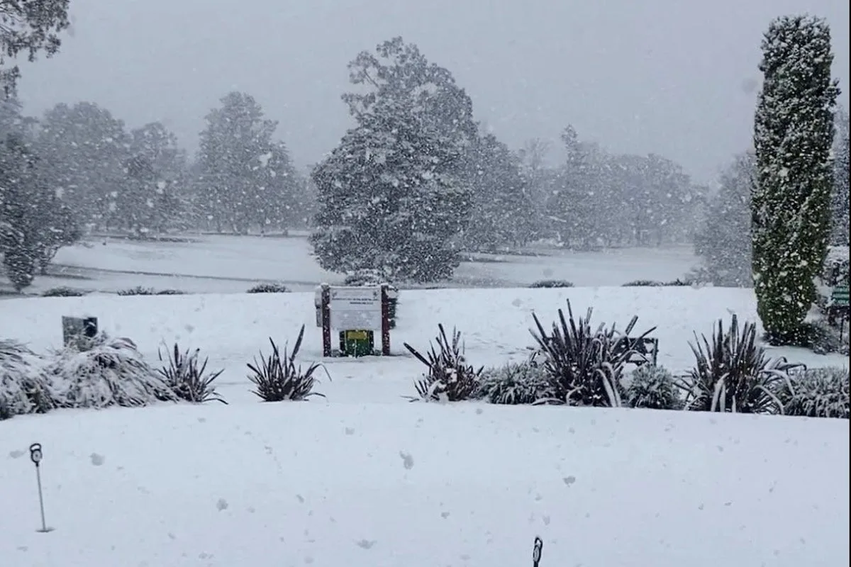 Australian Towns Blanketed by Heaviest Snowfall in Decades