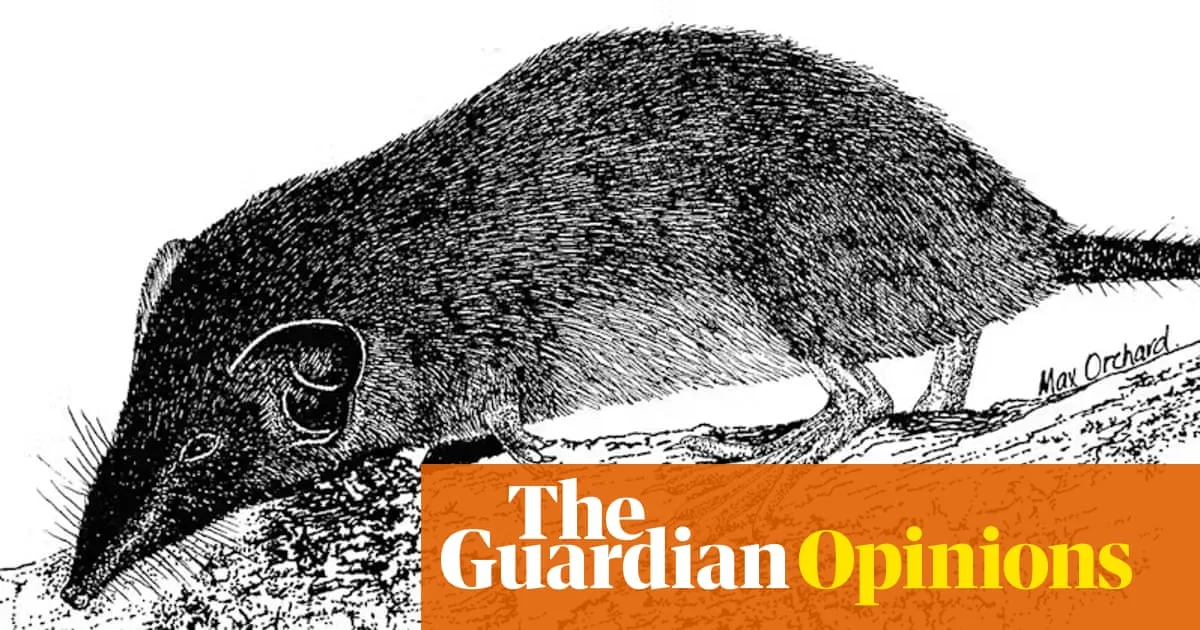 Christmas Island Shrew Declared Extinct, Australia’s Mammal Extinction Toll Rises to 39