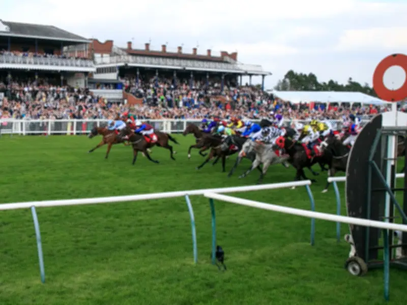 Ayr Racecourse Structural Issues Pose No Immediate Public Risk Says Council
