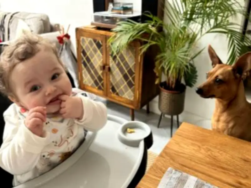 Baby 'paid with his life' after abuse by adoptive parents, court hears