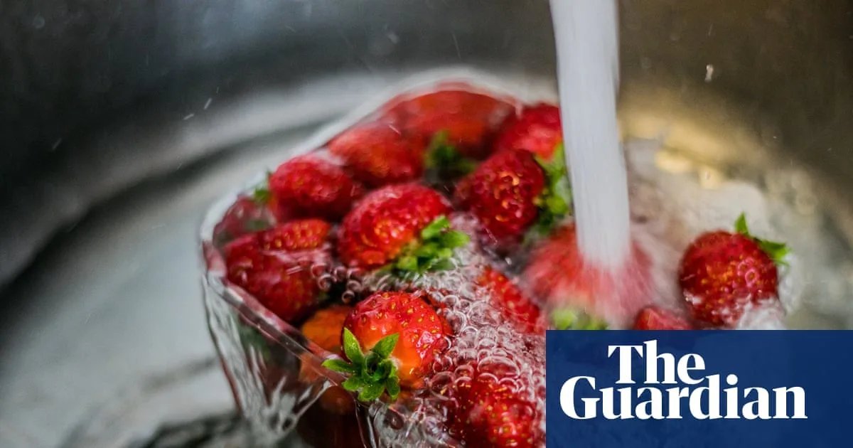 Baking Soda Beats Bleach For Removing Pesticides From Fruit