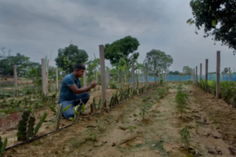 Bangladesh farmers fear water wars as aquifers collapse