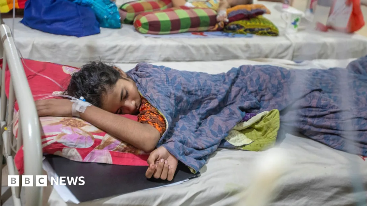 Bangladesh's Record Dengue Outbreak: 1,476 Dead