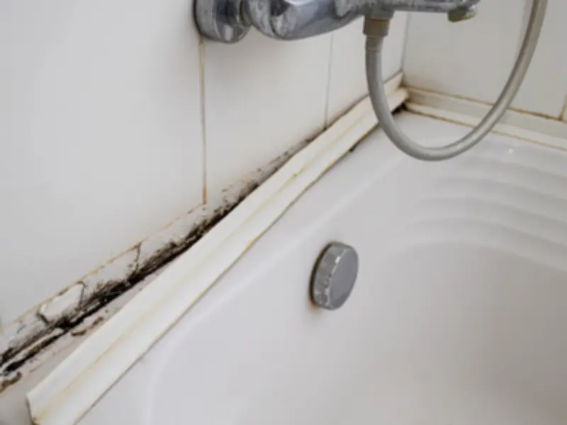Banish Black Mould from Bathroom for Good with £1 Miracle Product