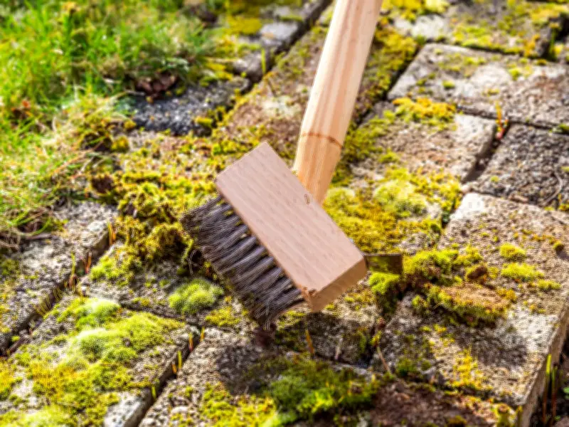 Banish Patio Moss with Bicarbonate of Soda: Simple Kitchen Hack