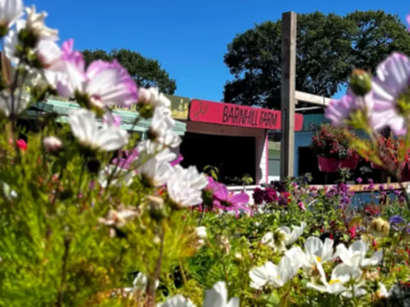 Barnhill Farm: Affordable Family Day Out Near Glasgow for £5