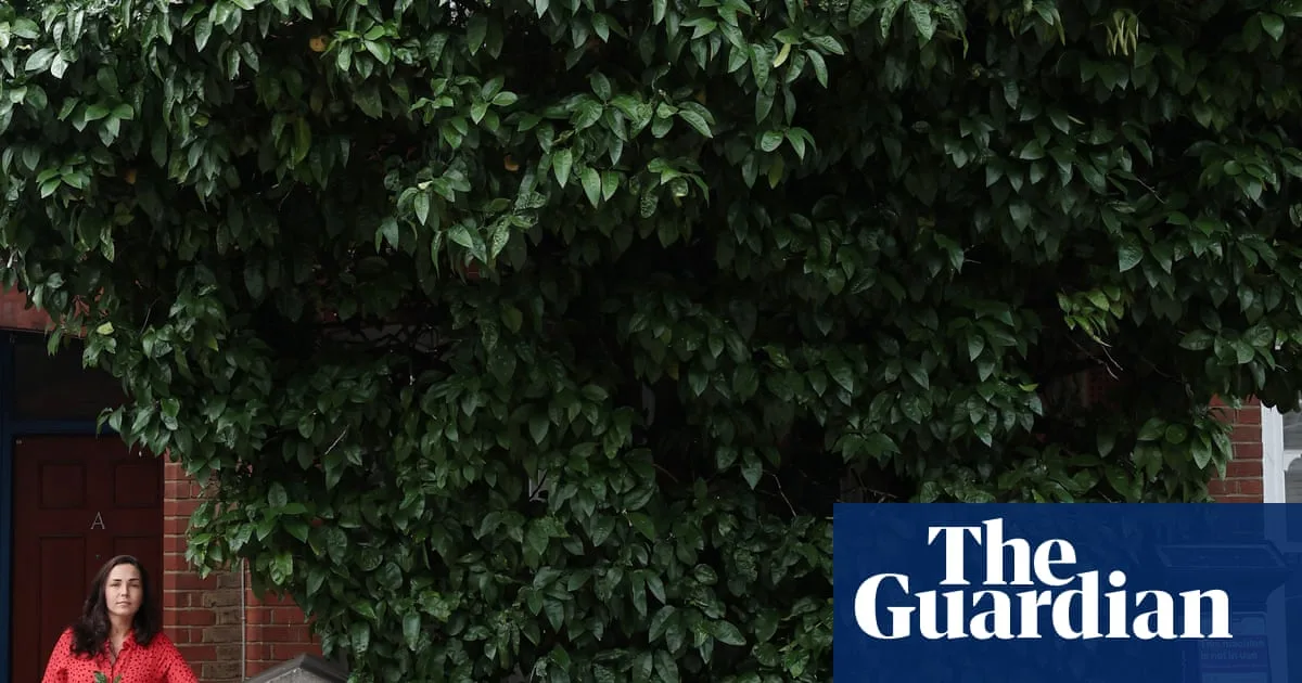 Battersea Grapefruit Trees Saved After Campaign