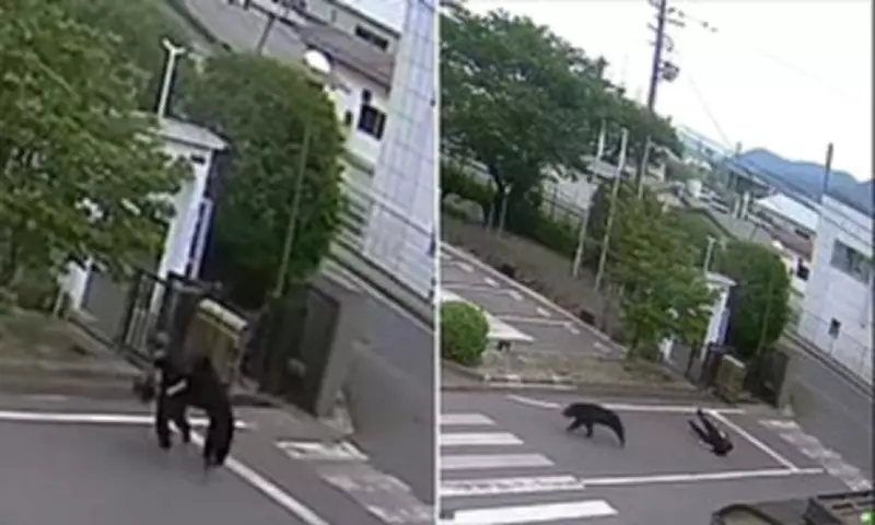 Bear Mauls Four in Japanese City After Rampage Through Factory