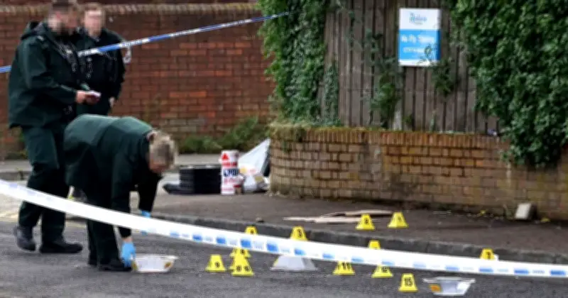 Belfast Stabbing: Man Hospitalised, Police Arrest Suspect in North Belfast