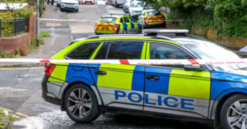 Belfast stabbing suspect Hadi Alodid appears in court