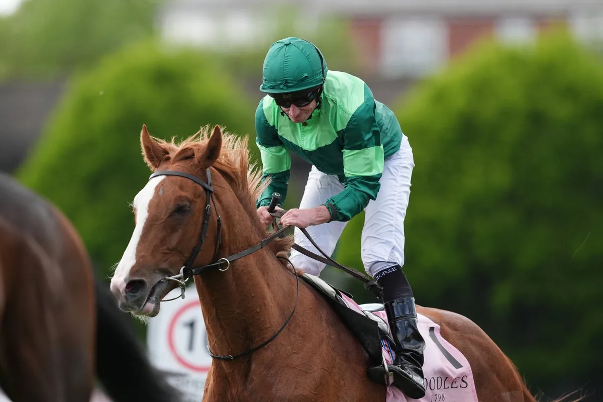 Benvenuto Cellini Heads Obriens Derby Four