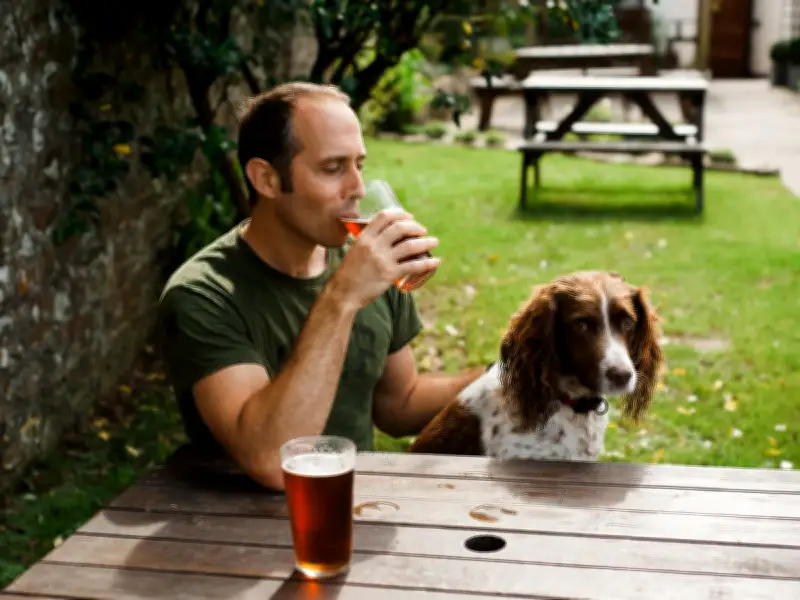 Best Dog-Friendly Pubs with Beer Gardens Revealed as UK Set to Hit 30C